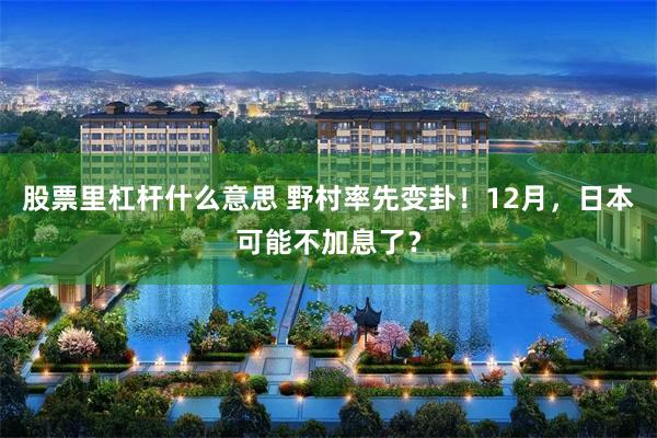 股票里杠杆什么意思 野村率先变卦！12月，日本可能不加息了？