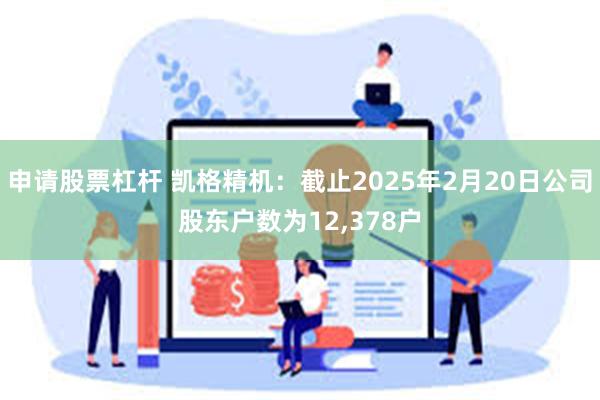 申请股票杠杆 凯格精机：截止2025年2月20日公司股东户数为12,378户