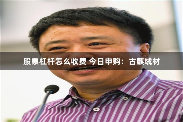 股票杠杆怎么收费 今日申购：古麒绒材