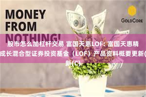 股市怎么加杠杆交易 富国天惠LOF: 富国天惠精选成长混合型证券投资基金(LOF)产品资料概要更新(C)
