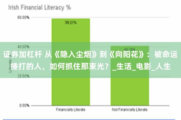 证券加杠杆 从《隐入尘烟》到《向阳花》：被命运捶打的人，如何抓住那束光？_生活_电影_人生