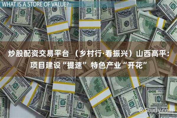 炒股配资交易平台 （乡村行·看振兴）山西高平：项目建设“提速” 特色产业“开花”