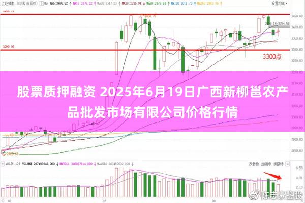 股票质押融资 2025年6月19日广西新柳邕农产品批发市场有限公司价格行情