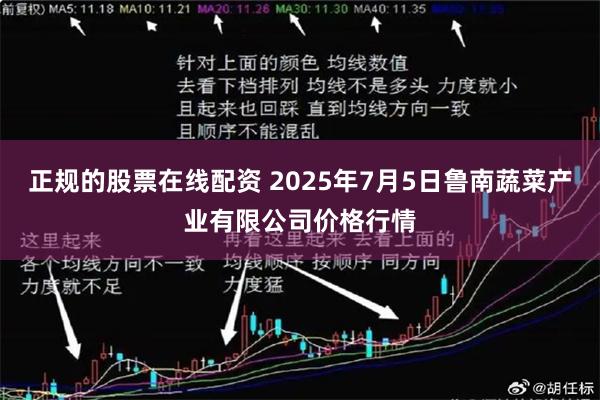 正规的股票在线配资 2025年7月5日鲁南蔬菜产业有限公司价格行情