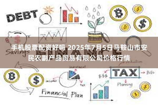 手机股票配资好吗 2025年7月5日马鞍山市安民农副产品贸易有限公司价格行情