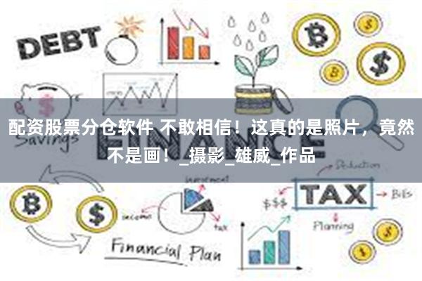 配资股票分仓软件 不敢相信！这真的是照片，竟然不是画！_摄影_雄威_作品