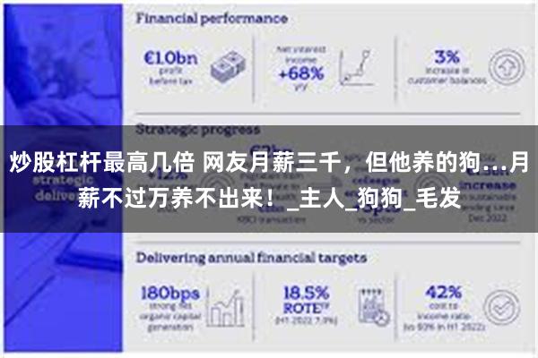 炒股杠杆最高几倍 网友月薪三千，但他养的狗…月薪不过万养不出来！_主人_狗狗_毛发