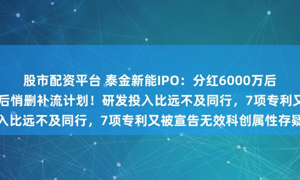 股市配资平台 泰金新能IPO：分红6000万后又补流1.33亿，被质疑后悄删补流计划！研发投入比远不及同行，7项专利又被宣告无效科创属性存疑