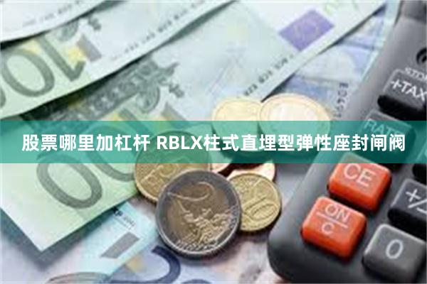 股票哪里加杠杆 RBLX柱式直埋型弹性座封闸阀